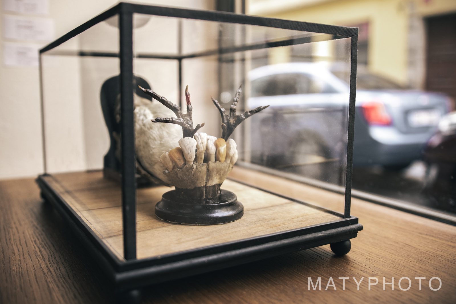 Jan Švankmajer – křest knihy