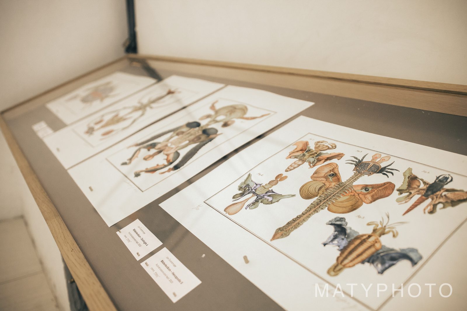 Jan Švankmajer – křest knihy