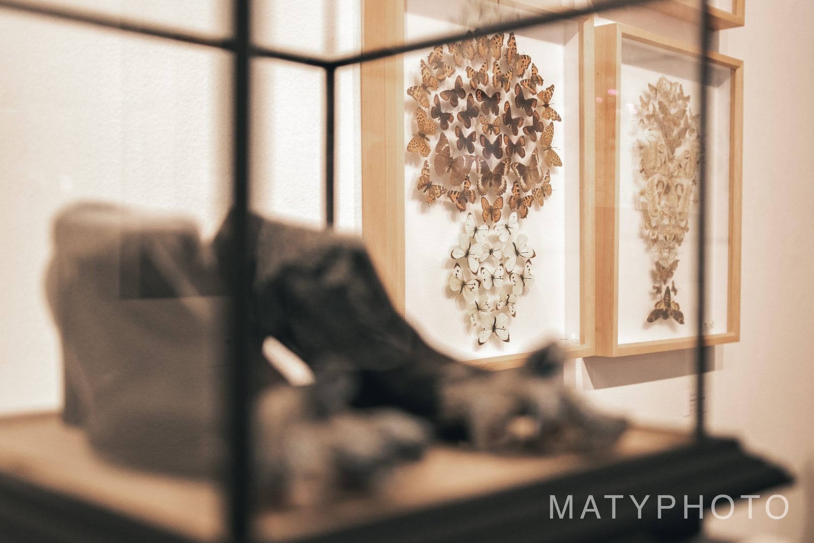 Jan Švankmajer – křest knihy