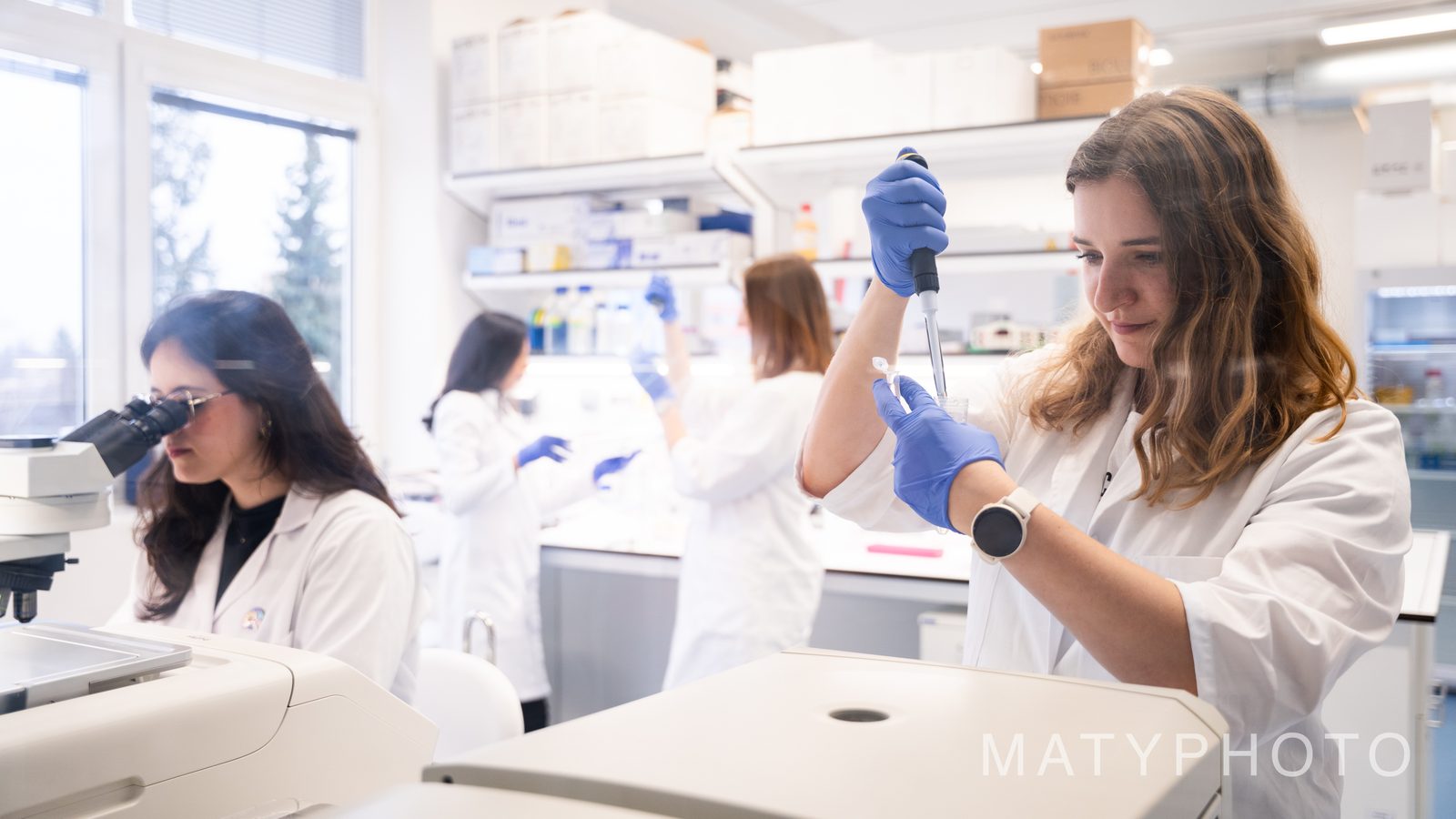 Laboratoř – dokument