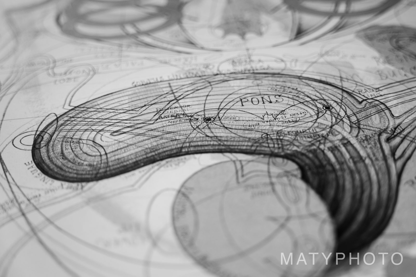 Luboš Plný – doma