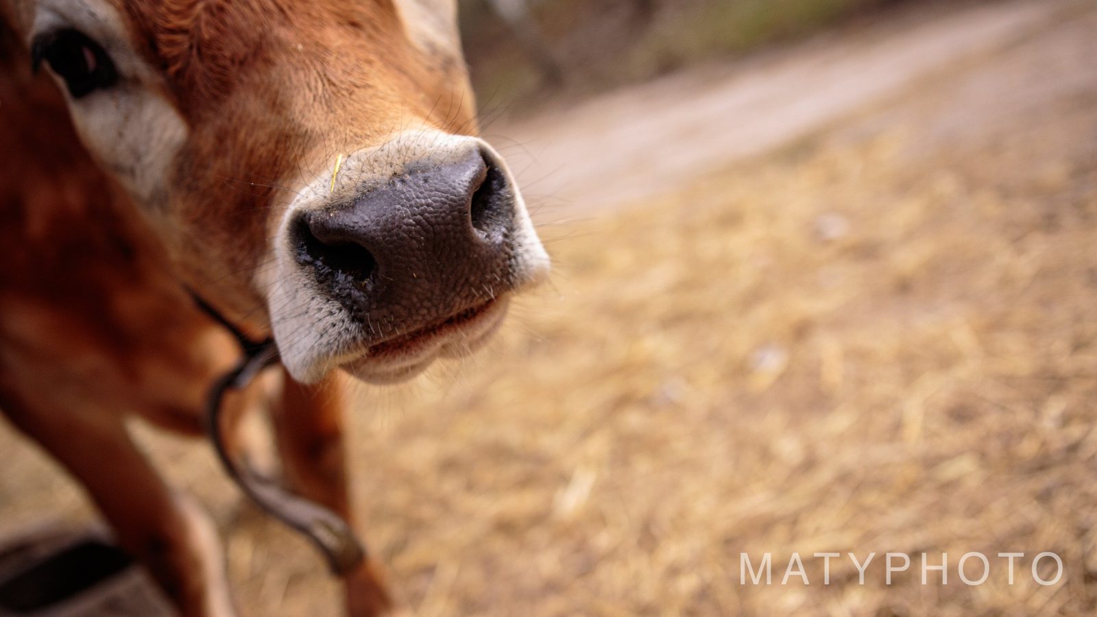 Neziskovka – dokument