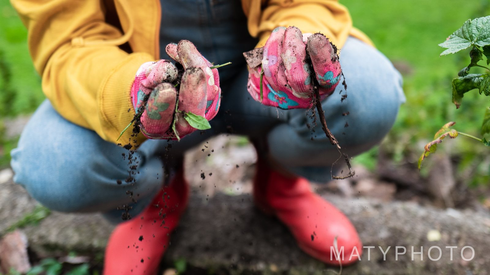 Neziskovka – dokument