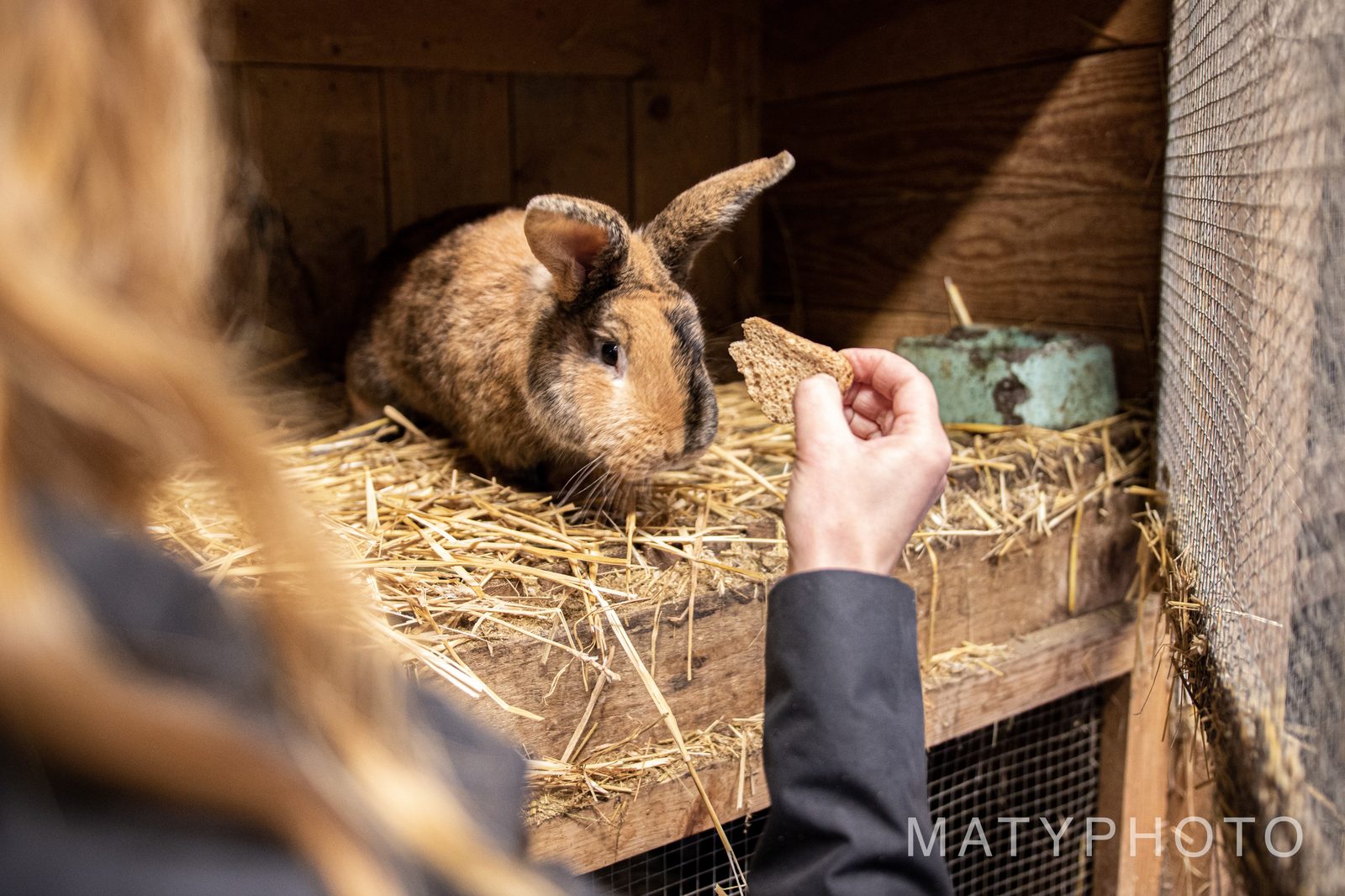 Neziskovka – dokument