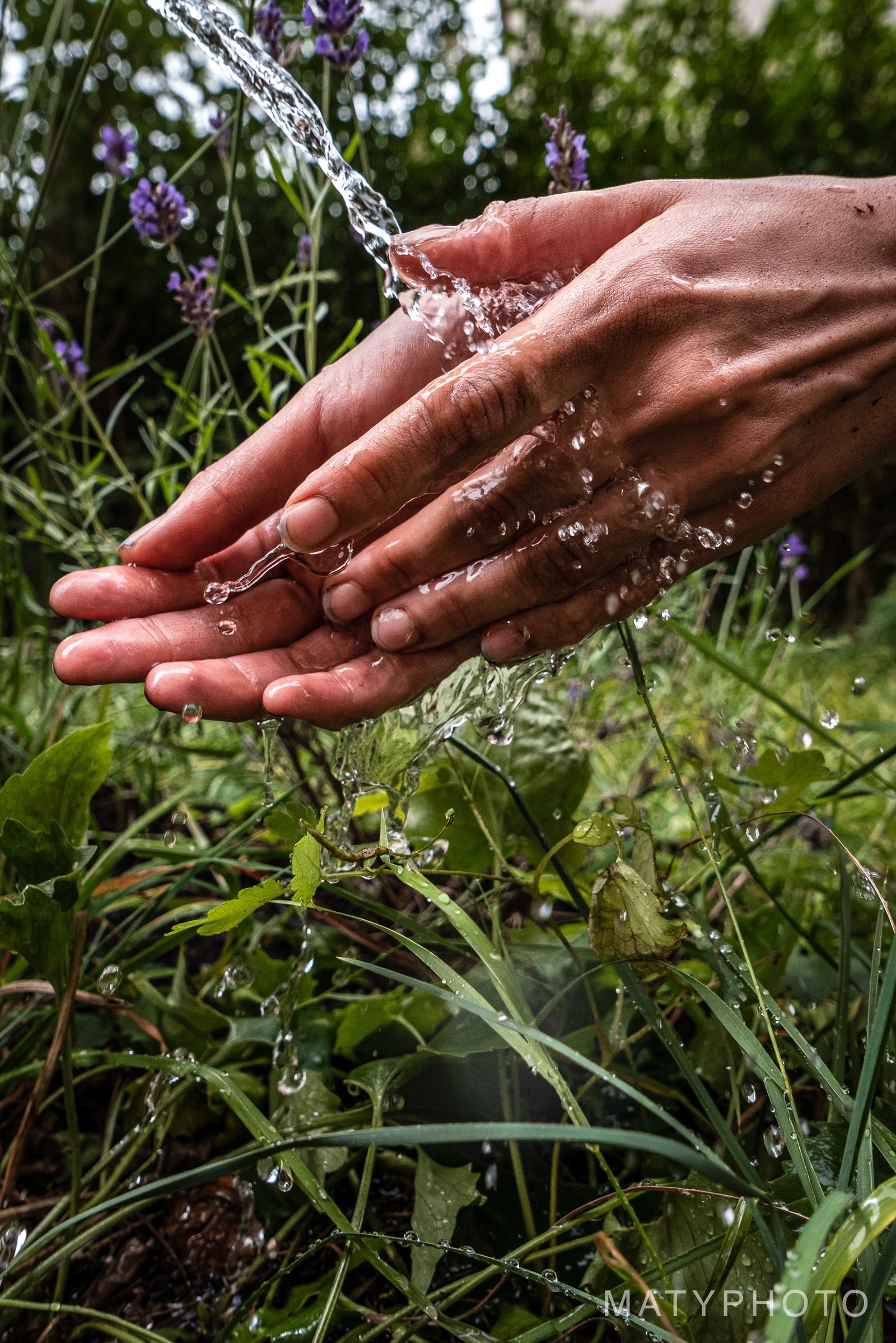 Neziskovka – dokument